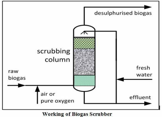 Biogas Scrubber
